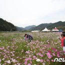 구룡천1 이미지