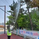 수목병해충방제1 이미지