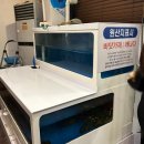 뉴욕바닷가재안산본점 이미지