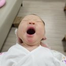 자연분만 후 3박 4일 입원후기!!(입원 비용 알려드림)