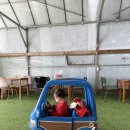 해뜰농장 | [광/아이와 가볼 만한 곳] 자연 속 힐링 체험, '뜰농장' 방문 후기