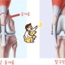 대흥동물병원 이미지