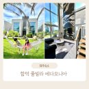 에다모니아 네이버블로그