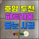 오색줄눈 | 동영상으로 보는 호암두진하트리움 줄눈시공 후기 (중동푸르지오)