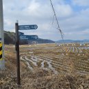 연화 태양광발전소 이미지