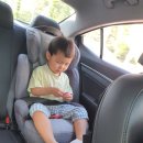 길두농장 | [블루베리 서울농원] 네살아기랑 서울에서 블루베리 체험!