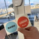 멍디브 | 강아지들의 몰디브, 광주 멍디브 애견카페 솔직후기