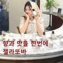 또바개 | SW19 한남스토어 미드나잇 니치향수 향기담은 피노키오 젤라또바 추천후기