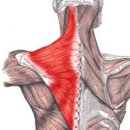강남약손한의원 이미지