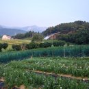 갯골샘터 이미지