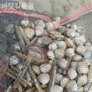 바닷길 풍경 이미지