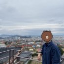 현호목장 | 대구 근본 맛집 소개 + 일상 (Aug)