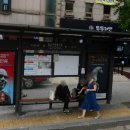 황금성게임랜드 이미지