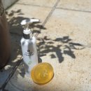 로덱스코리아 이미지