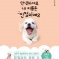 양지포토하우스 이미지