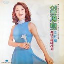 강정화 - 사랑은 해바라기 1973 이미지