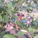 태석농장 이미지