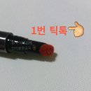 아임미미 틱톡 틴트립 초초초 자세한 후기!💄(+ 핏백) 이미지