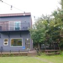 숲의동화 이미지