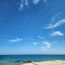 묵호바다협동조합 | 동해 묵호 여행 바다뷰와 묵호역 맛집 오뚜기칼국수 꿀조합