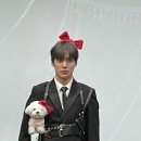 라이라이 이미지