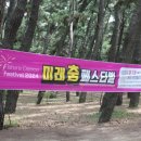 미래 춤 페스티벌 이미지