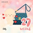 부치과의원 | 임신후기 10탄 임신27주 기록 | 임산부 스케일링, 체중 증가, 불면증