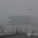 금촌산소 이미지