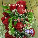수요일 - 종로구 인사동길 36 | 수요일