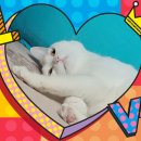 (주)너울정보 이미지