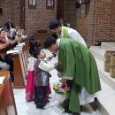 양재식(요셉) 신부님의 환영식(전주 서신동 성당) 이미지