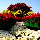 익산문화원 이미지