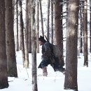 대호모피 | 최신영화후기) 대호 약스포후기. 줄거리와 느낀점