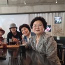 유금와당박물관 Daum카페