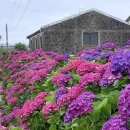 안성리-6 이미지