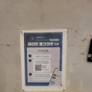 베이몬드호텔 | 부산여행) 해운대 오션뷰 루프탑수영장 베이몬드호텔 내돈내산 후기