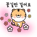 도그원 - 용인시 처인구 새실로 3 | 도그원