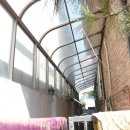 분당-388 이미지