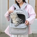 유니온동물병원 이미지