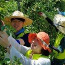 전국금융산업노동조합 NH농협지부 전남 이미지