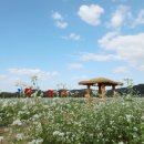 코스모스메디칼 이미지