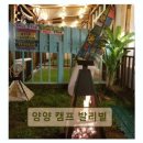 양양 캠프 발리별 네이버블로그