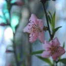 관악구민종합체육센터 이미지