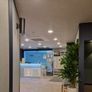 캔디안마시술소 | [여의도] 참손길지압힐링센터 / 건식 마사지 추천 / 통증 지압 관리 / 뭉친 근육 뿌셔뿌셔