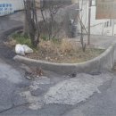 사하구-75 이미지