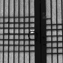 늘푸른꽃농원 - 고양시 일산동구 식사로 26 | 늘푸른꽃농원