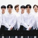 정글로벌 이미지