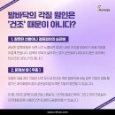 레푸스 정자점 이미지