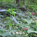 참삼영농조합법인 이미지