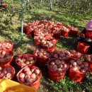 전일농장 이미지